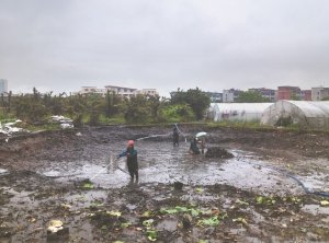 襄城河道鱼塘清淤